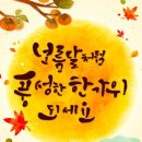 고은님 Daum카페