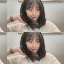 플로레세르