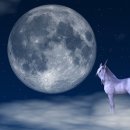 환상문학 이미지
