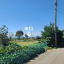 바다부동산공인중개사무소 이미지