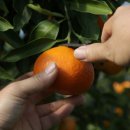 진홍농장 이미지