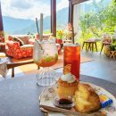 키즈팜민박 | 봉화 홀리가든, 사진찍기 좋은 인스타 감성 카페 찐 후기!(ft. 예약)