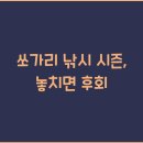 시즌낚시 티스토리