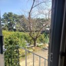 오쇼 하우스 이미지