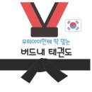 버드내 태권도 이미지