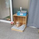 뉴욕종합동물병원 이미지