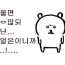 LP사구팔구 이미지