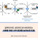 바이클린 이미지