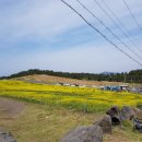 요망진밥상 이미지