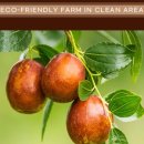 대영농장 이미지