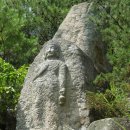 사과꽃 피는 저녁 이미지