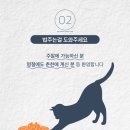 강냥이 Daum카페