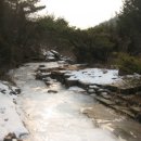 숲속의 빈터 이미지