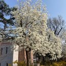 오산리 내 이미지