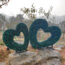 선일초등 이미지