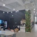 도안동물병원 이미지