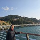 바람의 언덕 이미지