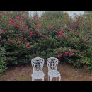 4855 | [제주도 여행지 추천] 제주김녕미로공원 제주김녕미로공원, 가족과 함께 즐길 수 있는 공간