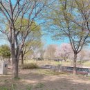 연천세계캠핑체험존 - 야영장 | 연천 세계캠핑체험존 별빛야영장 벚꽃캠핑 후기