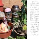 곡성빨래방 이미지