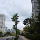 밥아저씨김밥 | 세종 종촌동 김밥집 조아저씨김밥 후기 라볶이랑 김밥 조합 칭찬해!