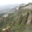 머리사랑 이미지