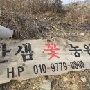 한샘농장 이미지