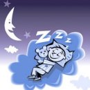 복숭아꽃 살구꽃 이미지