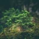 명상(주간) 이미지