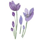 제주도 커플펜션 루나마르 이미지