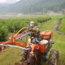 우두농장 이미지