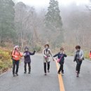 꿈 같은 시간...일본 트레킹을 마치고