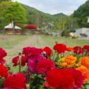 춘천요양병원 이미지