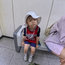2026 뚝섬 한강수영장 오픈 (가격, 파라솔, 준비물, 후기)