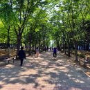 강촌공원 화장실 이미지