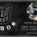 도그멍 이미지