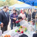 강서구-21 이미지