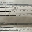 피노키오 복싱 이미지