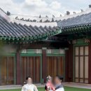 12월 원예: 미리 만나는 크리스마스 | 신라호텔 팔선 돌잔치 - 돌스냅 디폴린스냅 대표 촬영 후기 [짝궁코드 만원 페이백]