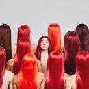 립헤어 이미지
