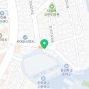 고양이분양 온리캣 이미지