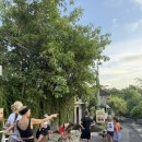 댕댕클럽 | 발리 남부 울루와뚜 러닝클럽 후기 (댕댕런 후기)