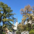 추억속의 이야기 이미지