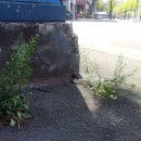 웰빙마트 이미지