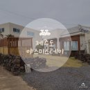 야스미 스테이 이미지