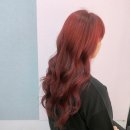 엔비헤어 envy hair