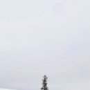 스튜디오옵티크 이미지