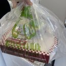 빨간토마토피자 | 일산 마두 가성비좋고 종류많은 피자맛집 빨간모자피자 후기:)