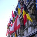 엔트워프 이미지