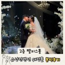 유성 | W.16 대전웨딩홀 유성컨벤션 본식 후기 | 2층 팰리스홀 리뉴얼 , 연회장(뷔페) 후기